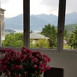Sole * 콜리코