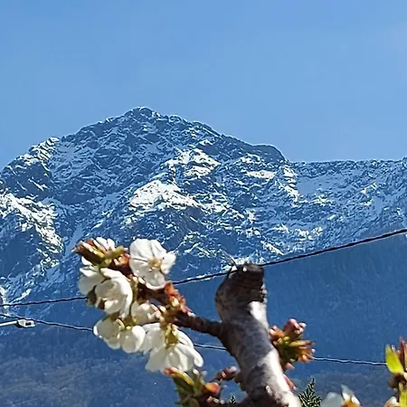 Ferienhaus Sole Colico